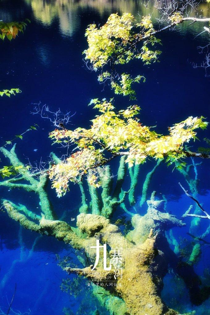 怎样能护发生发